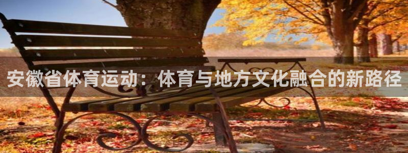 乐视体育负责人陈欣：安徽省体育运动：体育与地方文化融合的新路径