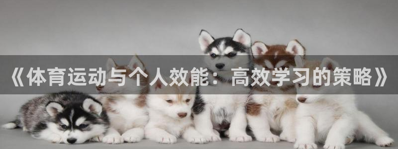 乐视体育视频：《体育运动与个人效能：高效学习的策略》