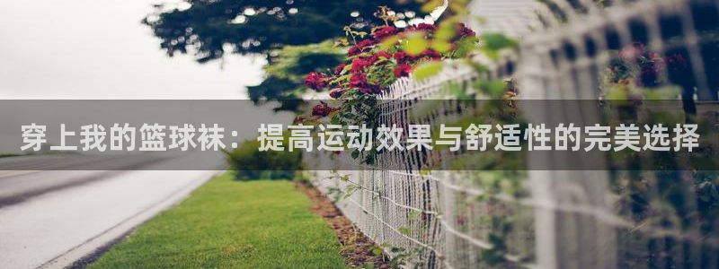 乐视体育nba：穿上我的篮球袜：提高运动效果与舒适性的完美选择