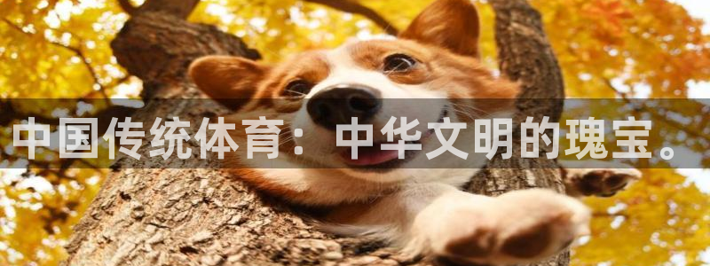 乐视体育生态中心冠名多少钱：中国传统体育：中华文明的瑰宝。