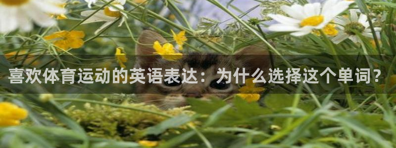 乐视体育在线直播观看：喜欢体育运动的英语表达：为什么选择这个单词？