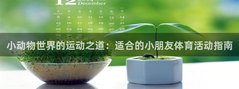 乐视体育还有吗：小动物世界的运动之道：适合的小朋友体育活动指南