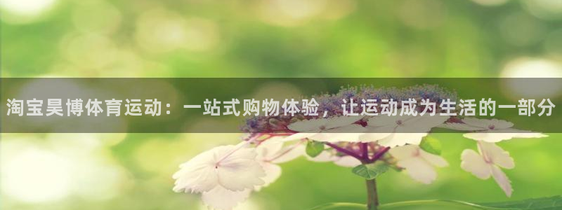 乐视体育市值：淘宝昊博体育运动：一站式购物体验，让运动成为生活的一部分